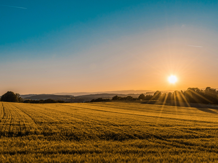 Rural Notaire Chateaudun Carimalo Bec Foisy Cap'Notaires