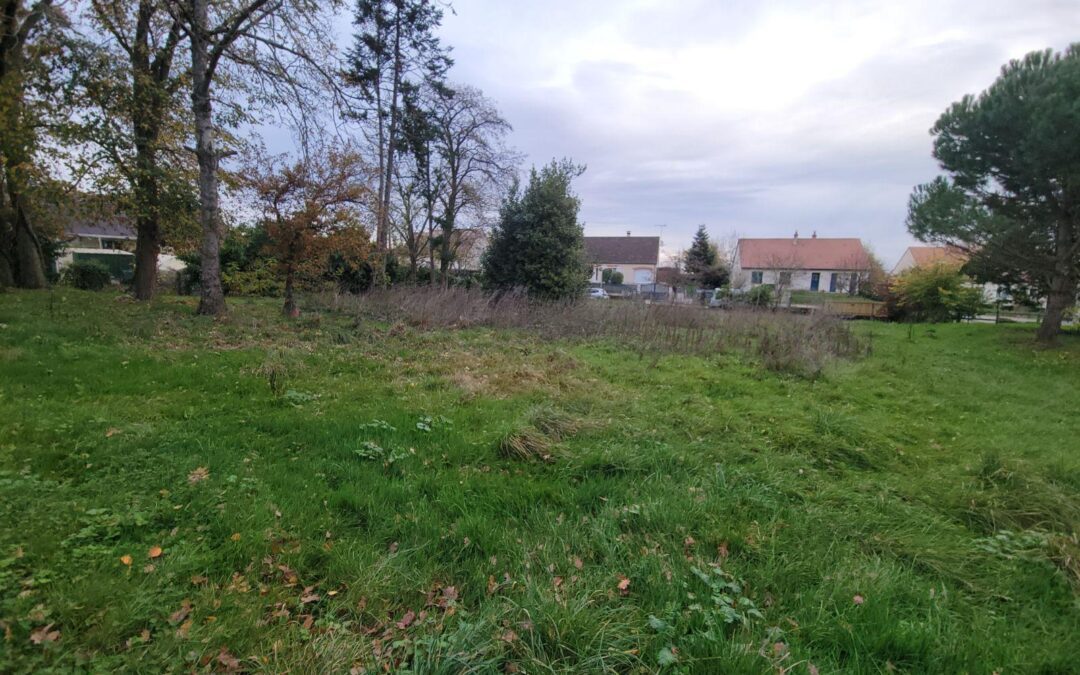 Vente Terrain – à Montigny-le-gannelon (28220)