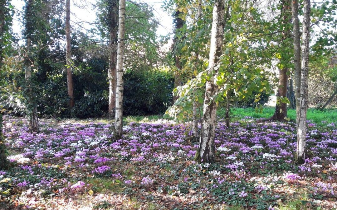 Vente Terrain – à Montigny-le-gannelon (28220)