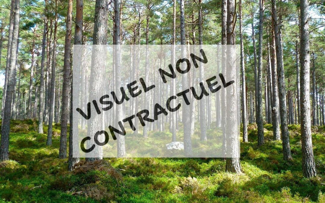 Vente Terrain – à Villiers-saint-orien – Eure-et-loir (28800)
